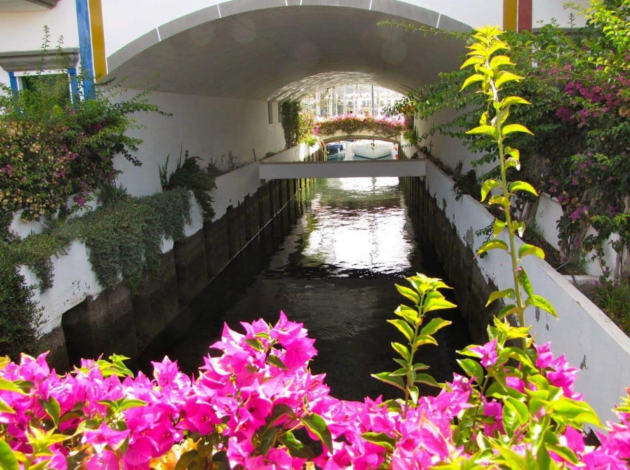 Apartamento Sunset ปวยร์โต เด มอแกน ภายนอก รูปภาพ